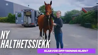 VI TAR MED HESTEN MIN TIL BJERKE