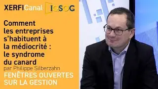 Comment les entreprises s’habituent à la médiocrité : le syndrome du canard [Philippe Silberzahn]