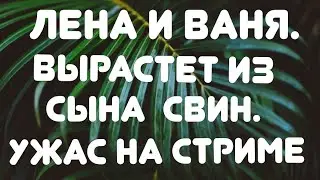 Лена и Ваня// Вырастет из сына свин// Ужас на стриме//Обзор видео и стрима
