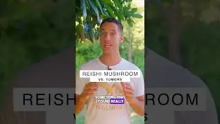 🍄 Reishi Mushroom vs. Tumors