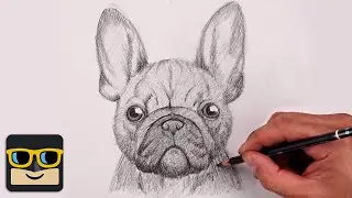 How To Draw a Dog | French Bulldog Sketch Tutorial