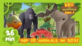 Top 20 Most Popular Animals from Season Two in 2021 Part 1! | Leo the Wildlife Ranger