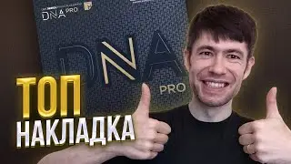 DNA Pro H: ТОП НАКЛАДКА за свои деньги, и не за свои )