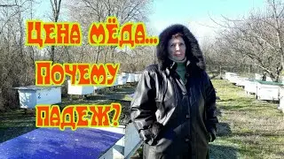 ЦЕНА МЕДА... СИРОП... ПАДЕЖ... ТВЕРДЫЙ МЕД В РАМКАХ.