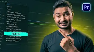 How to Place Custom lut Permanently in Lumetri Panel | Premiere Pro Tutorial