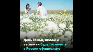 День семьи, любви и верности будут отмечать в России официально⁠⁠