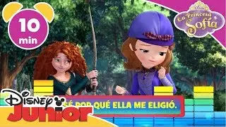 La Princesa Sofía: Disney Junior Music Party - Sofía y Princesas Disney | Disney Junior Oficial