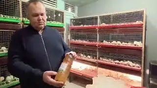 Первые дни жизни