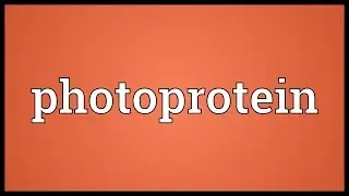 Photoprotein Meaning