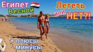 Египет ВЕСНОЙ 🇪🇬 БУМ❗️ Стоит ли ЕХАТЬ на отдых в Египет в марте, апреле и мае. ПЛЮСЫ и МИНУСЫ!