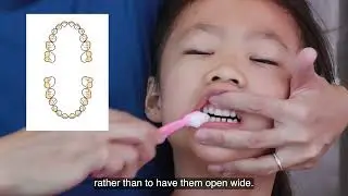 Parents’ Guide to Toothbrushing and Flossing for Children ages 3-6 years old