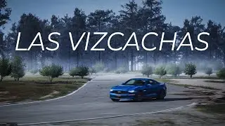 Autódromo Las Vizcachas - Extended Layout Camtool | Assetto Corsa