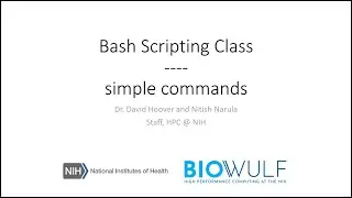 Bash Scripting Class: Simple Commands