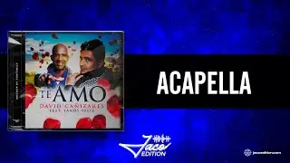 Davis Cañizares Feat. Jandy Feliz - Te Amo (Acapella Studio)