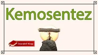 AYT Biyoloji | Kemosentez 