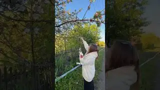 🌸❤️🥰