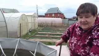 НАКОНЕЦ-ТО ВЕСТИ С ПОЛЕЙ! ОТКРЫТ СЕЗОН  ОГОРОДНЫХ РОЛИКОВ