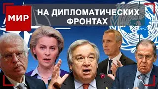 Новый мировой порядок? Украинский конфликт и глобальный передел сфер влияния | МИР