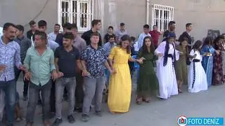 Silopi Düğüleri Salih Ürün Düğünü Part 1 foto deniz silopi Koma Walat silopi