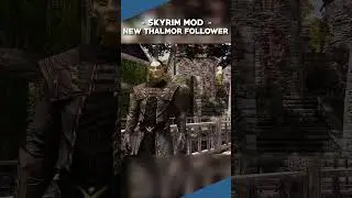 This New Skyrim Follower Mod Is HILARIOUS