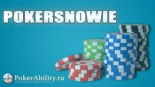 PokerSnowie. Обзор