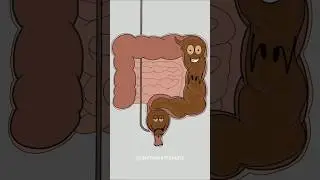 how poop system works! 🤣😂 (best animation memes) 