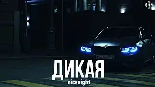 nicenight - Дикая (Премьера 2023)