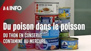 Des traces de mercure dans le thon en conserve