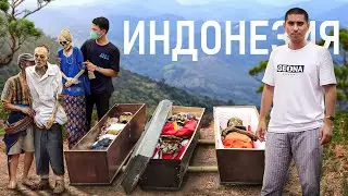 Өлген туыстарының мәйітін қазып алатын Тораджа тайпасы. Манене рәсімі