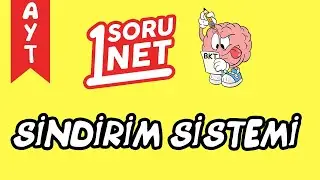 Sindirim Sistemi /sayfa 75/6 / AYT Biyoloji