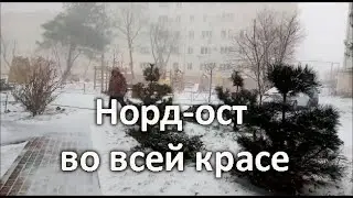 Архипо-Осиповка 11 марта