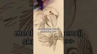 sketching some crows with mechanical pencil!