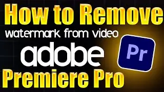 How to remove watermark from Video Adobe Premiere Pro - Step by Step Guide