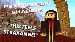 Can I SURVIVE 2b2t's Spawn With ACID Shaders?