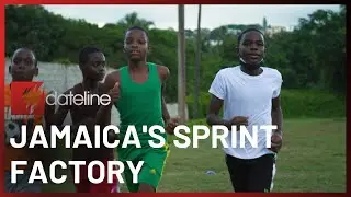 Fastest in the world: Inside a sprint school in Jamaica chasing Olympic gold | SBS Dateline