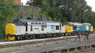 Class 37s 37901 & 37407 at Leicester | 22nd August 2024