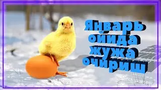 ЯНВАРЬ ОЙИДА ЖЎЖА ОЧИРИШ  сирлари | @ALPHA Aziko