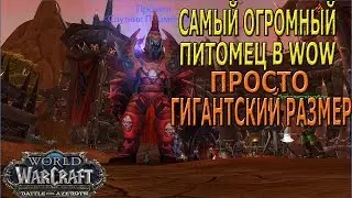ГИГАНТСКИЙ ПИТОМЕЦ В WOW, ОН ПРОСТО ГРОМАДНЕЙШИЙ