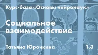 Социальное взаимодействие // Татьяна Юрочкина