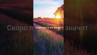 скоро лето а это значит