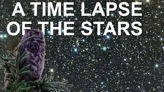 How to Shoot a Night Sky Time Lapse With Only a DSLR & Tripod