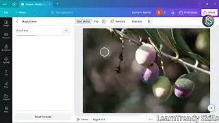 How to Use Magic Edit to Transform Your Pictures: Canva Tutorial