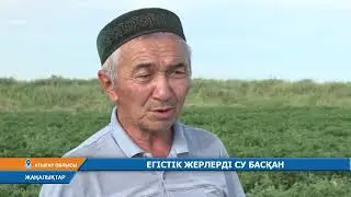 ЕГІСТІК ЖЕРЛЕРДІ СУ БАСҚАН