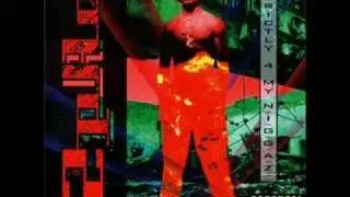 2Pac - Strictly 4 My N.I.G.G.A.Z - I Get Around (14)