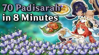 padisarah locations (nilou ascension material) - fast and efficient - genshin impact farming