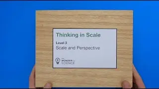 Scale and Perspective