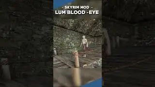 The Most Unique Follower Mod For Skyrim Recently