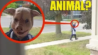 The Animal People (2023) Full Horror Movie (4K Ultra HD)
