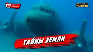 Недостающее Звено Которое Ускорило Эволюцию Человечества