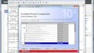 04.18_Oracle_10gR2_RAC_4.18 Install and configure Automatic Storage Management (ASM).avi